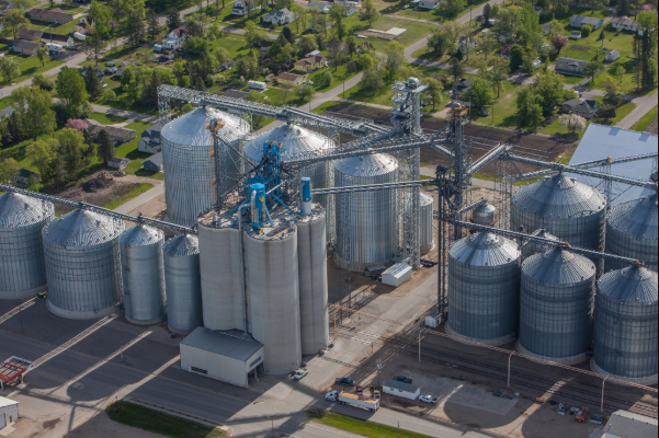 Large grain system