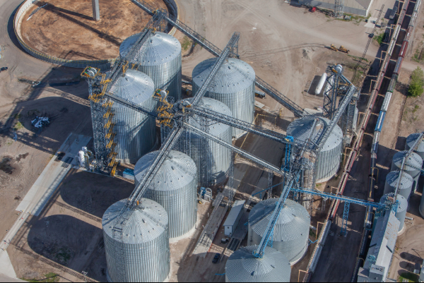 Grain system with bins and connecting conveyors
