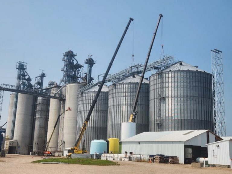 Grain elevator with shed